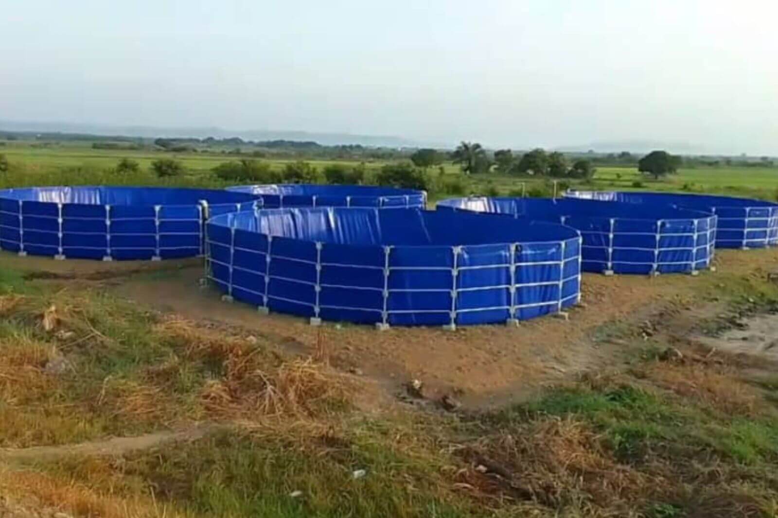 fish farming tank project